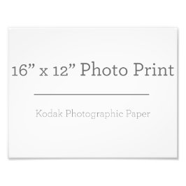 Impressão de Fotografia 16 x 12 personalizado