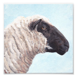 Impressão de Fotografia Black Sheep Face II