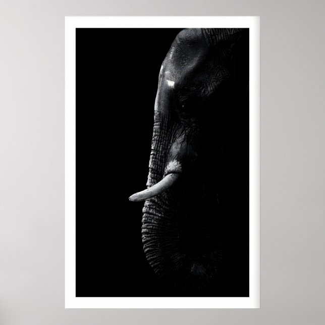 Impressão de Fotografia de Elefante Arte Minimalis (Frente)