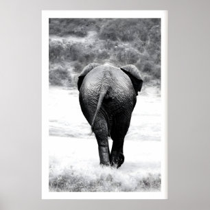 Impressão de Fotografia de Elefante Monocromática 