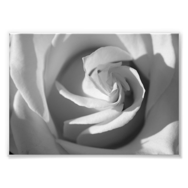 Impressão de Fotografia de Flor B&W Rosa Branca (Frente)
