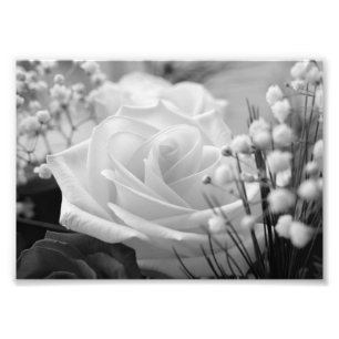 Impressão de Fotografia de Flor B&W Rosa Branca