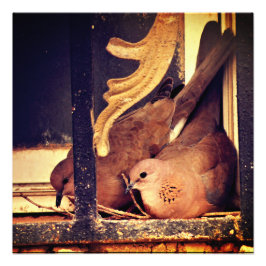 Impressão de fotografia de preparação