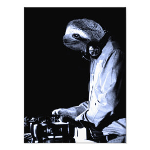 Impressão de Fotografia do DJ Sloth
