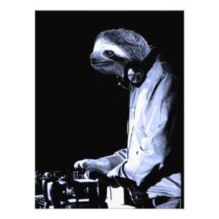 Impressão de Fotografia do DJ Sloth
