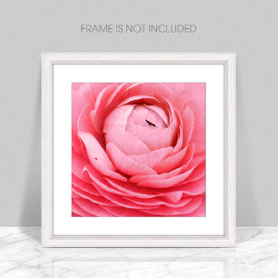 Impressão de Fotografia do Flor Rosa de Fechamento