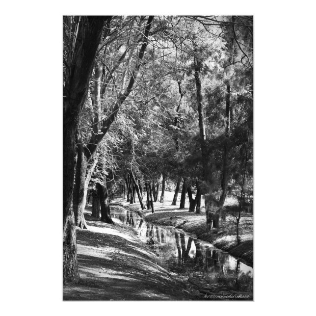 Impressão de Fotografia do Stream B&W Park (Frente)