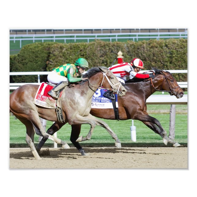 Impressão de Fotografia Mo Donegal (Frente)