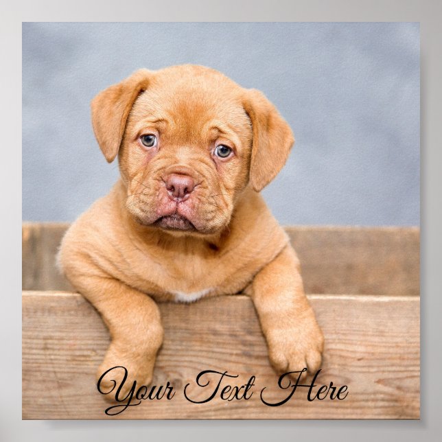 Impressão de Fotografia Poster personalizada quadr (Frente)