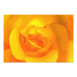 Impressão de Fotografia Rosa