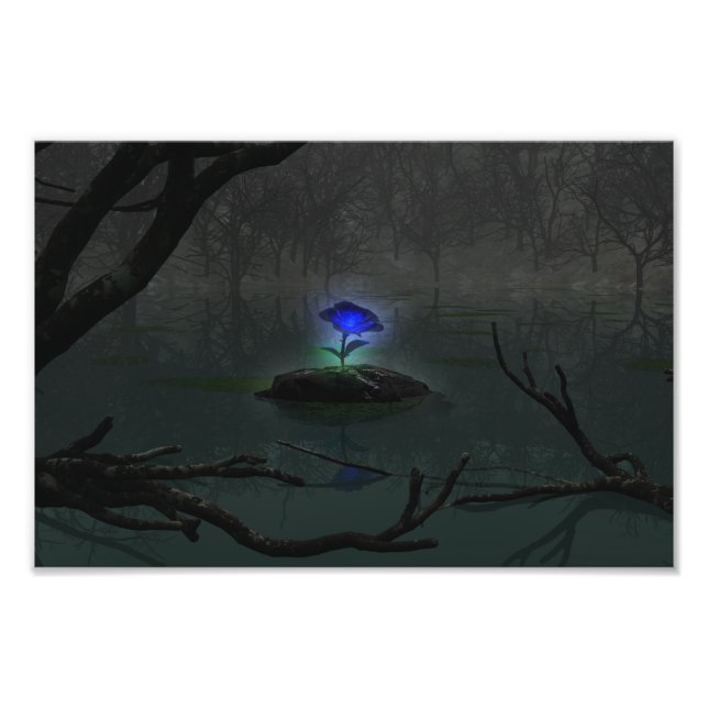 Impressão de Fotografia Rosa Azul (Frente)