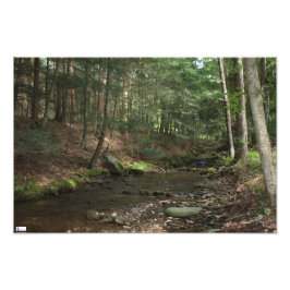 Impressão de Fotografias a Montante