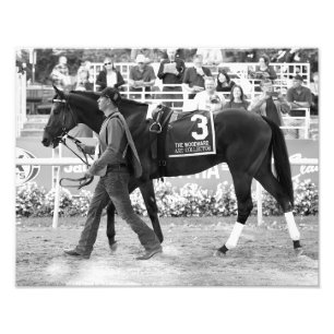 Impressão de Fotografias do Coletor de Artes