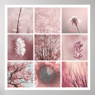 impressão de fotos cor-de-rosa 3x3