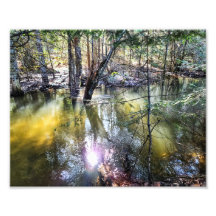 impressão de fotos de 10"x8" || A Walk By Sage Cre