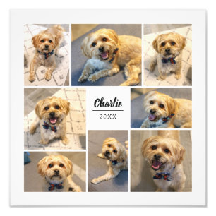 Impressão de Fotos Personalizadas de Colagem de 8