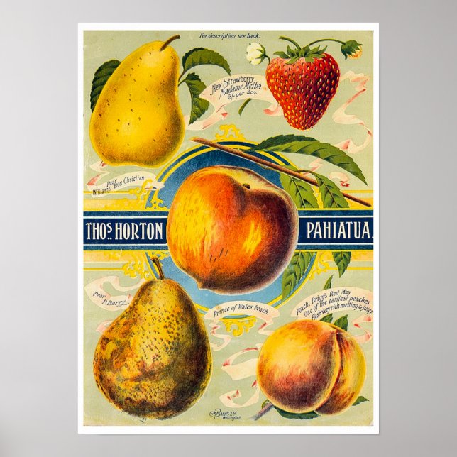 Impressão de Fruta da Nova Zelândia (Frente)