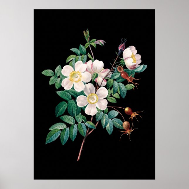 Impressão de fundo preto rosa branco (Frente)