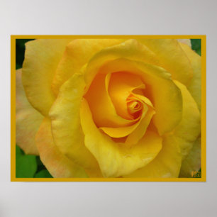 Impressão de Impressão rosa amarela