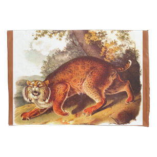 impressão de lince do século XIX