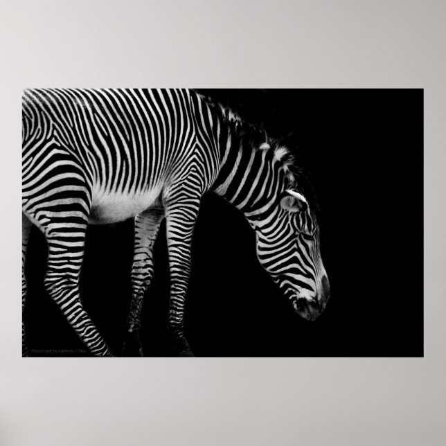 Impressão de linguagem corporal (Frente)