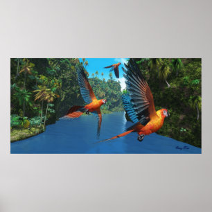 Impressão de Macaw Vermelho Cubano 2