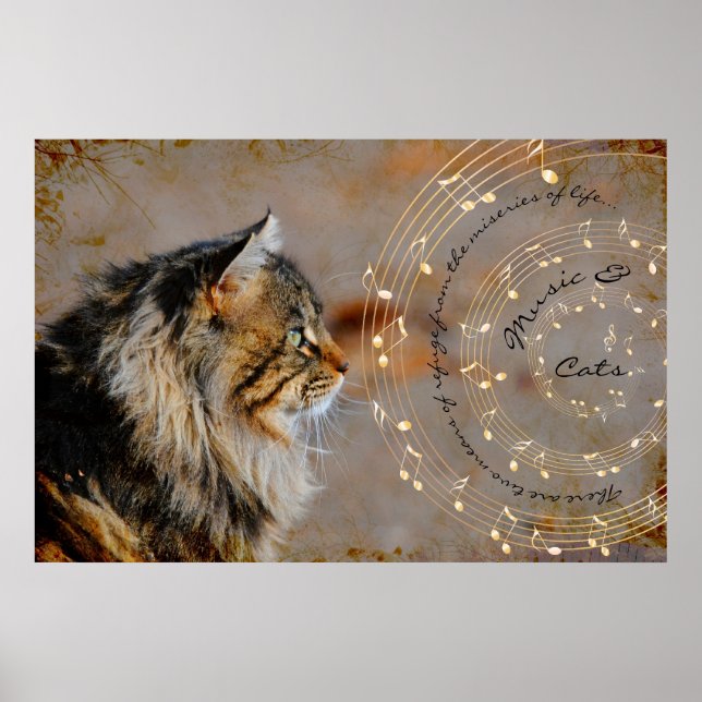 Impressão de Música e Gatos de Belas Artes (Frente)