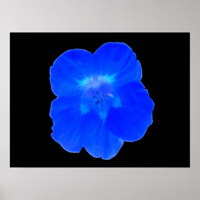 Impressão de Nasturtium azul (Frente)