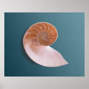 Impressão de Nautilus Shell no Ocean Blue Art Imp
