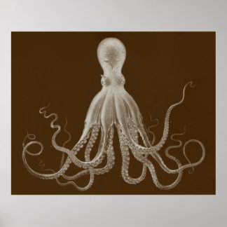 Impressão de Octopus Triptych Grande em Castanho