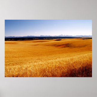 Impressão de ondas âmbar