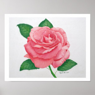 Impressão de Paixão Rosa