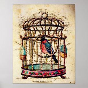 Impressão de papel francês da arte do Birdcage d