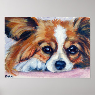 Impressão de Papillon