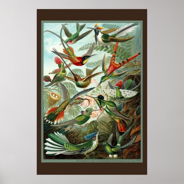 Impressão de passarinho (Frente)