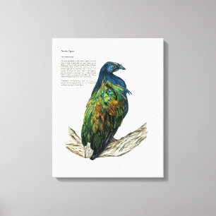 Impressão de pássaro pintado à mão na Canvas