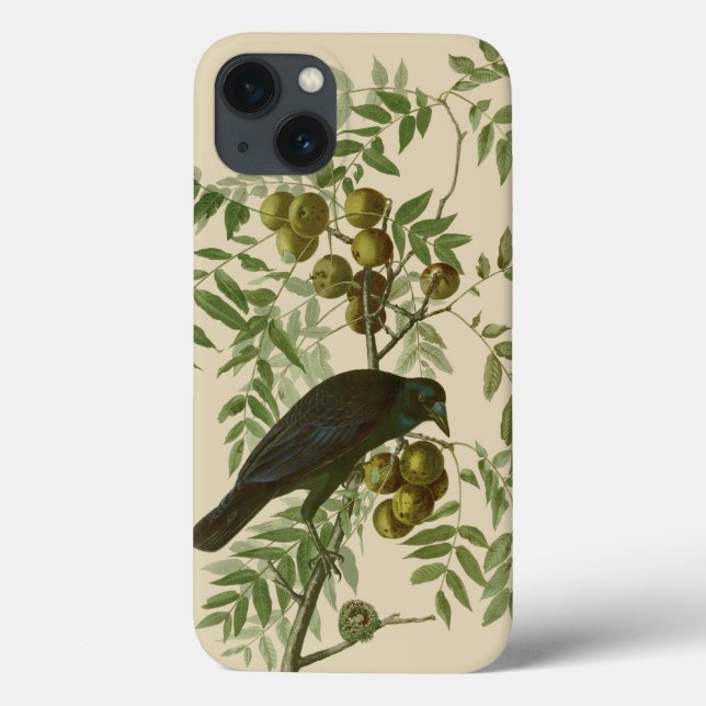 Impressão de pássaro rouxinol-púrpura de Audubon V (Verso)