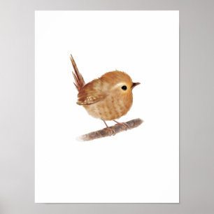 Impressão de pássaros Puffy Wren