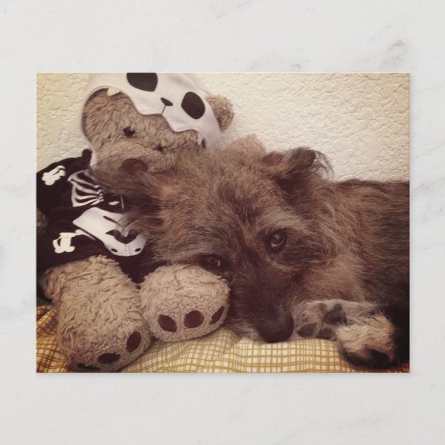 impressão de pata no seu cartão memorial de perda  (Frente)