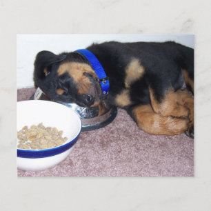 impressão de pata no seu cartão memorial de perda