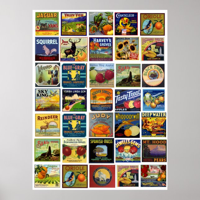 Impressão de Patchwork de Etiqueta Vintage (Frente)