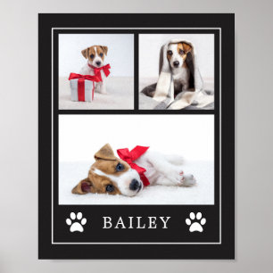 Impressão de Paw   Cachorro de Pet Multifotógrafo 