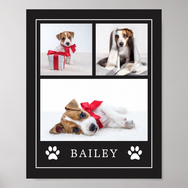 Impressão de Paw | Cachorro de Pet Multifotógrafo  (Frente)