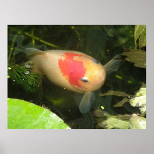 Impressão de peixe