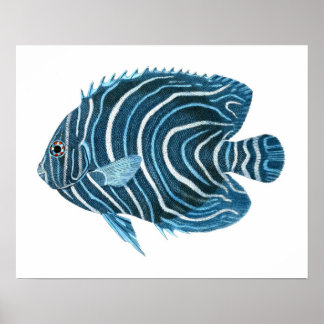 Impressão de Peixes Tropicais Azul nº 1