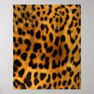 Impressão de peles de leopardo