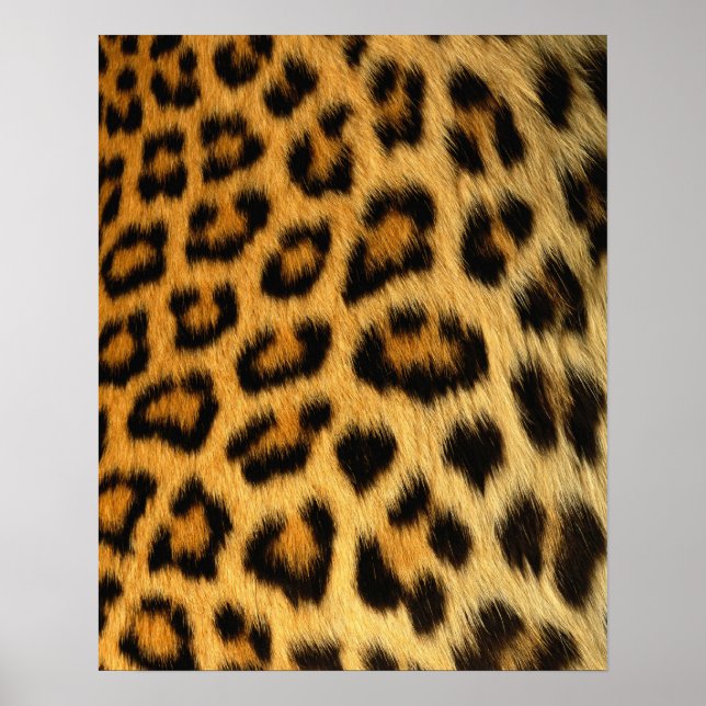 Impressão de peles de leopardo (Frente)