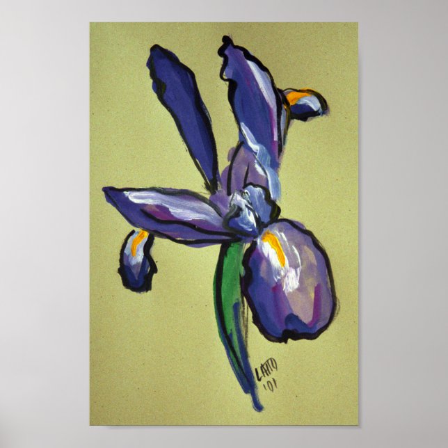 Impressão de pintura moderna Iris Aeronáutica (Frente)