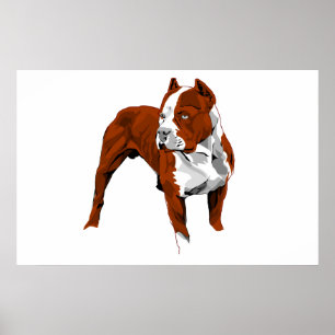 Impressão de Pitbull