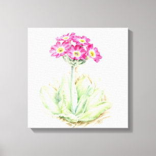 Impressão de plástico de canvas rosa-primula